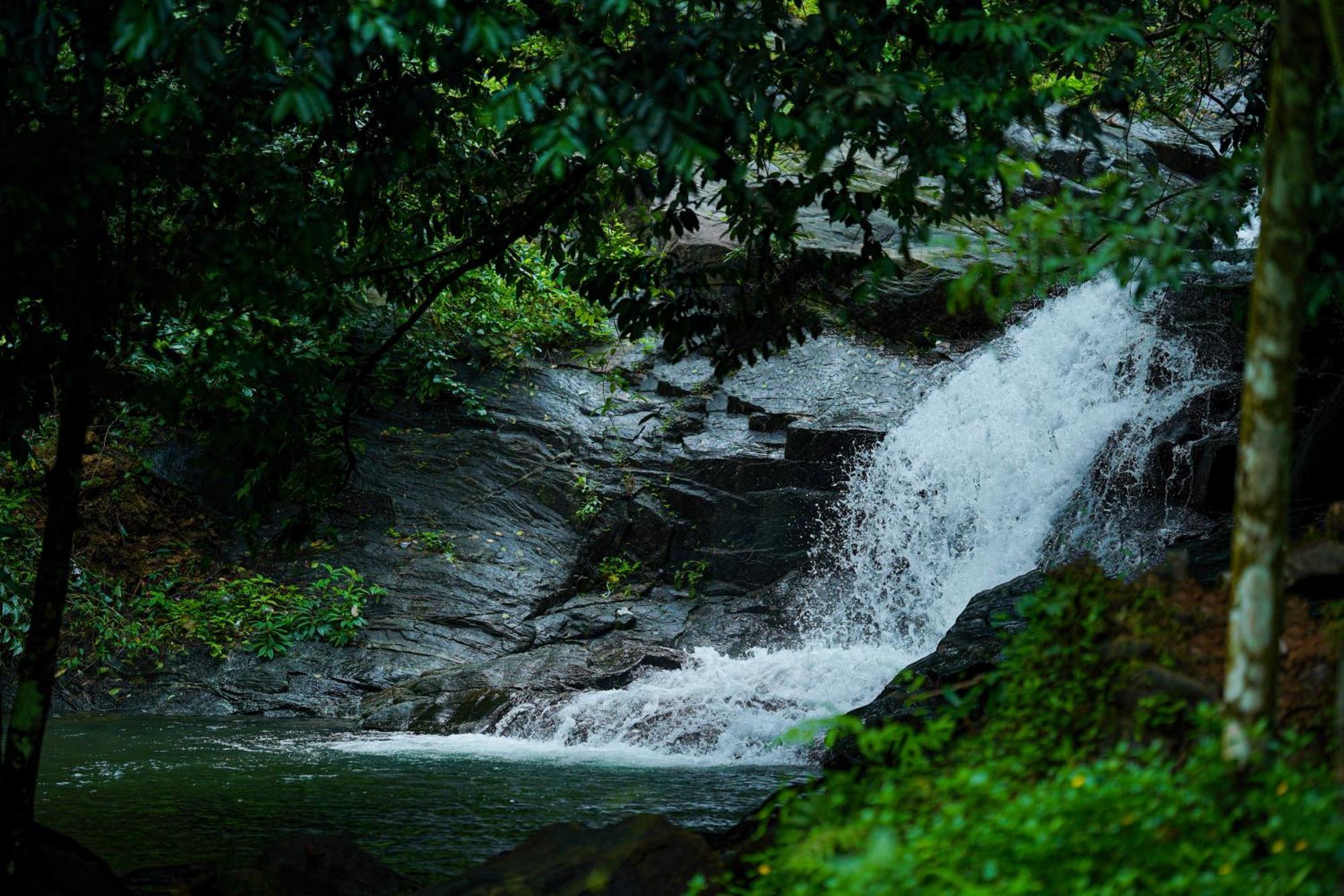 Mount Stratus Resort Vayalada Balussery Esterno foto